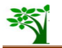 Yemisrach Microfinance Institute