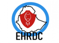 Ethiopian Human Rights Defenders Center