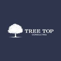  Tree Top Consulting