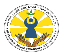 Metemamen Micro Financing Institution S.C