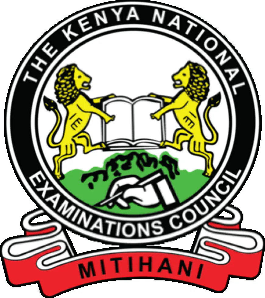 KCSE Results 2024 Now Live – Check KNEC Portal