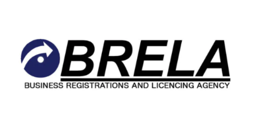 Brela ORS Login Guide: Easy Steps to Access Your Account