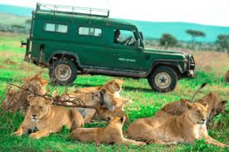 Tanzania Allocates Sh4 Billion for Wildlife Census 2025