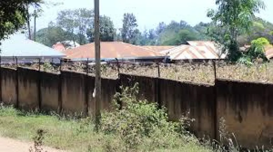 ITV's Land Conflict with Rombo District Council