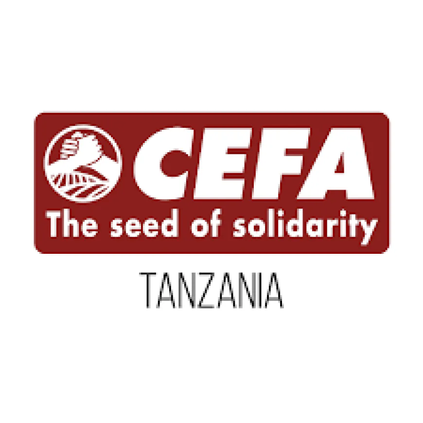 CEFA Hiring: Career Opportunities in March 2025