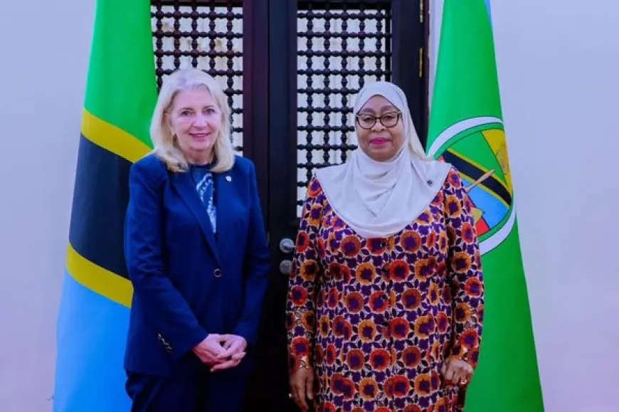 President Samia Meets UNICEF Chief in Dodoma