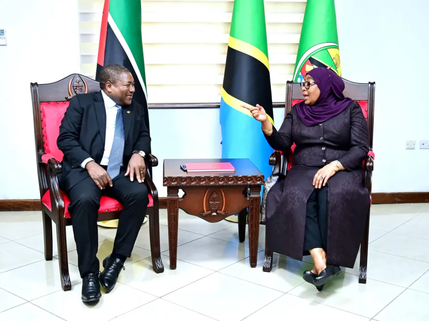 Tanzania’s Diplomatic Success Boosts Economy