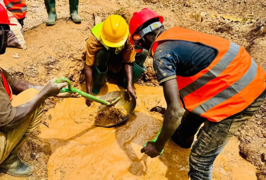 Kagera's Mining Sector Yields TZS 3.2 Billion Revenue