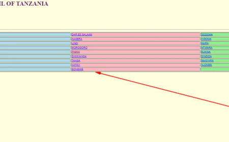 Matokeo Darasa la Saba 2025: NECTA PSLE Results Released