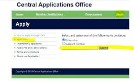 CAO Status Check | How to Track Your Application in South Africa