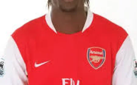 Emmanuel Adebayor Net Worth, Relationships, Age/Birthdate & Birthday Facts