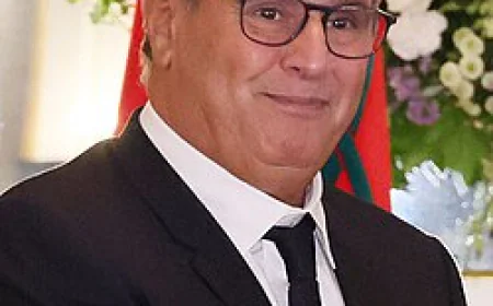 Aziz Akhannouch Net Worth, Relationships, Age/Birthdate & Birthday Facts