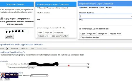WSU Status Check Guide