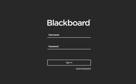 UL Blackboard: Access & Guide for Students