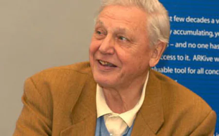 David Attenborough Net Worth, Relationships, Age/Birthdate & Birthday Facts