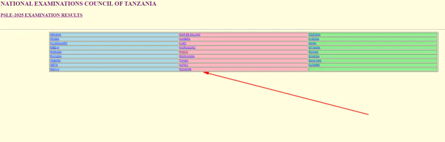 Matokeo Darasa la Saba 2025: NECTA PSLE Results Released