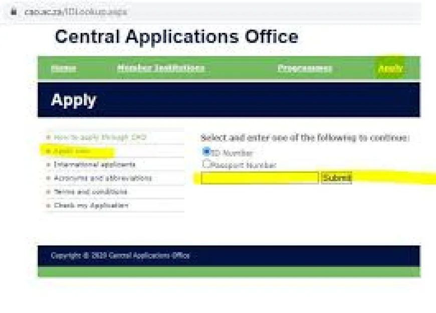 CAO Status Check | How to Track Your Application in South Africa