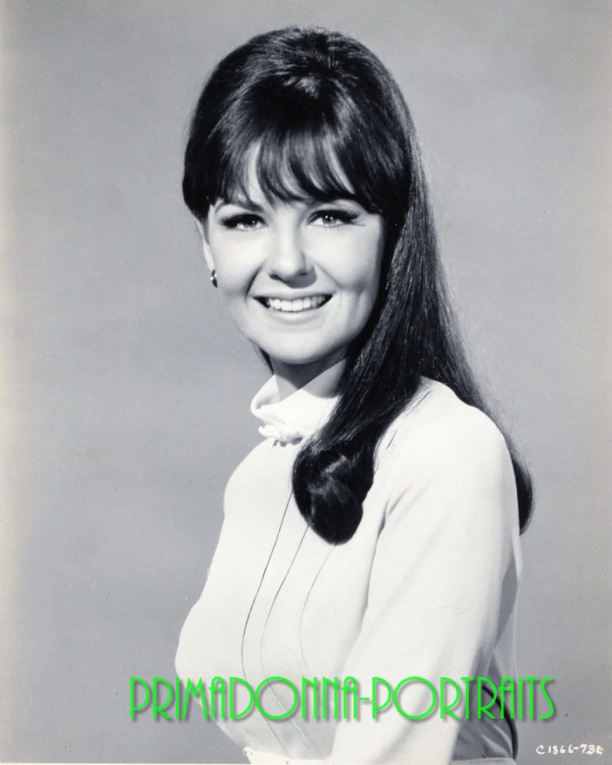 Shelley Fabares Net Worth, Relationships, Age/Birthdate & Birthday Facts