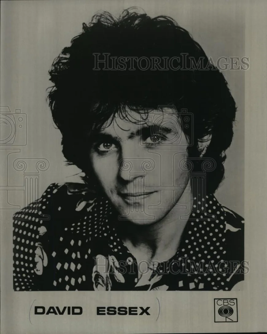 David Essex Net Worth, Relationships, Age/Birthdate & Birthday Facts