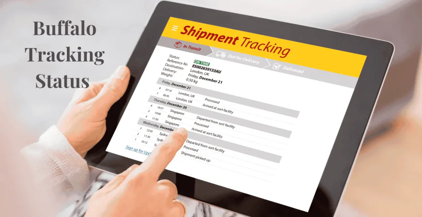 Buffalo Tracking in South Africa – How It Works