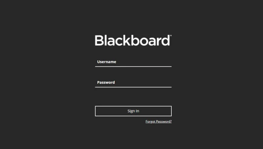 UL Blackboard: Access & Guide for Students
