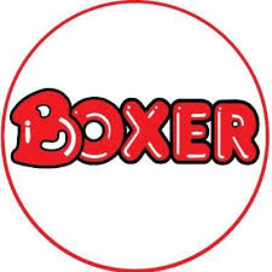 Boxer Catalogue In South Africa: Weekly Deals Guide