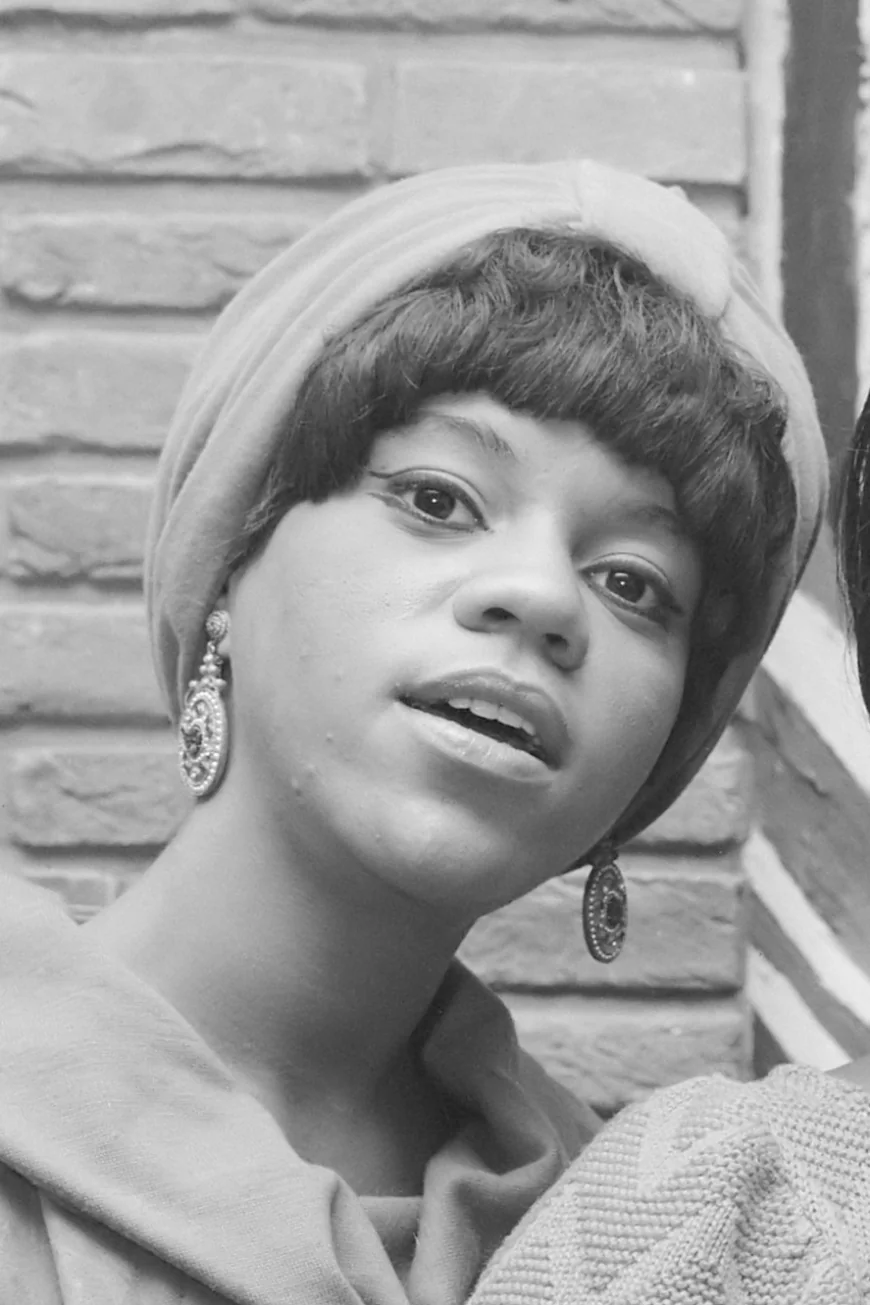 Florence Ballard Net Worth, Relationships, Age/Birthdate & Birthday Facts