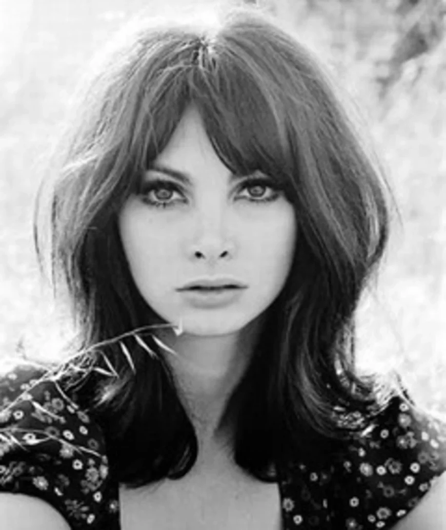 Toni Basil Net Worth, Relationships, Age/Birthdate & Birthday Facts
