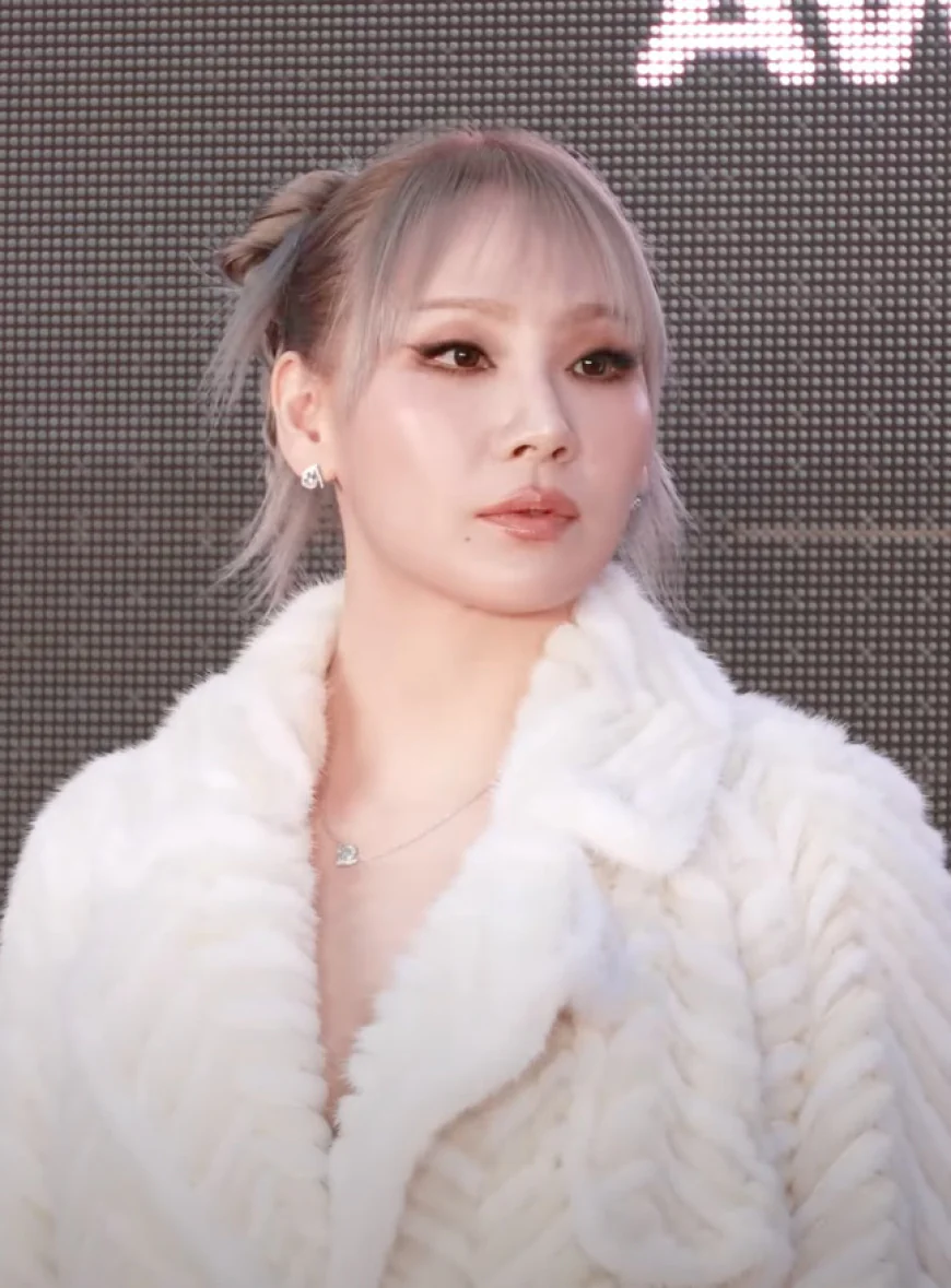 CL Net Worth, Relationships, Age/Birthdate & Birthday