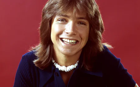 David Cassidy Net Worth, Relationships, Age/Birthdate & Birthday