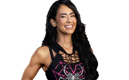 AJ Lee Net Worth, Relationships, Age/Birthdate & Birthday Facts