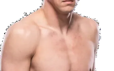 Joe Lauzon Net Worth, Relationships, Age/Birthdate & Birthday Facts