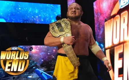 Samoa Joe Net Worth, Relationships, Age/Birthdate & Birthday Facts