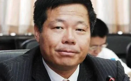 Chen Jinshi Net Worth, Relationships, Age/Birthdate & Birthday Facts