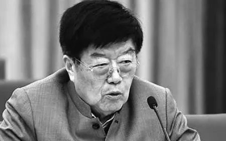 Xu Jingren Net Worth, Relationships, Age/Birthdate & Birthday Facts