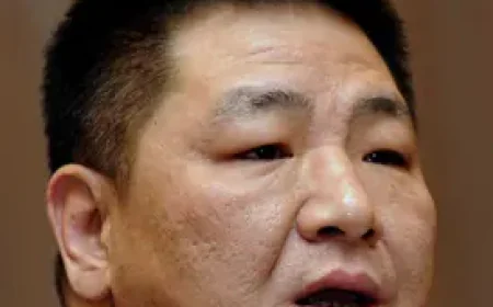 Wang Jianyi Net Worth, Relationships, Age/Birthdate & Birthday Facts