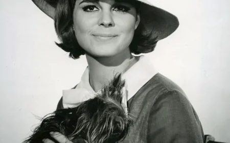 Susan Saint James Net Worth, Relationships, Age/Birthdate & Birthday Facts