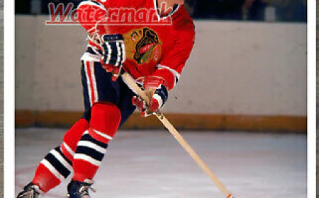 Bobby Hull Net Worth, Relationships, Age/Birthdate & Birthday Facts