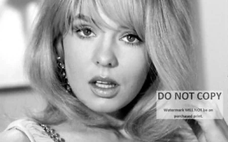 Joey Heatherton Net Worth, Relationships, Age/Birthdate & Birthday Facts