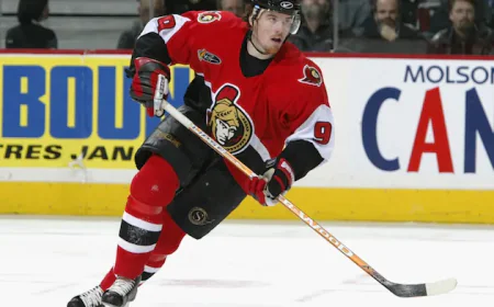 Martin Havlát Net Worth, Relationships, Age/Birthdate & Birthday Facts