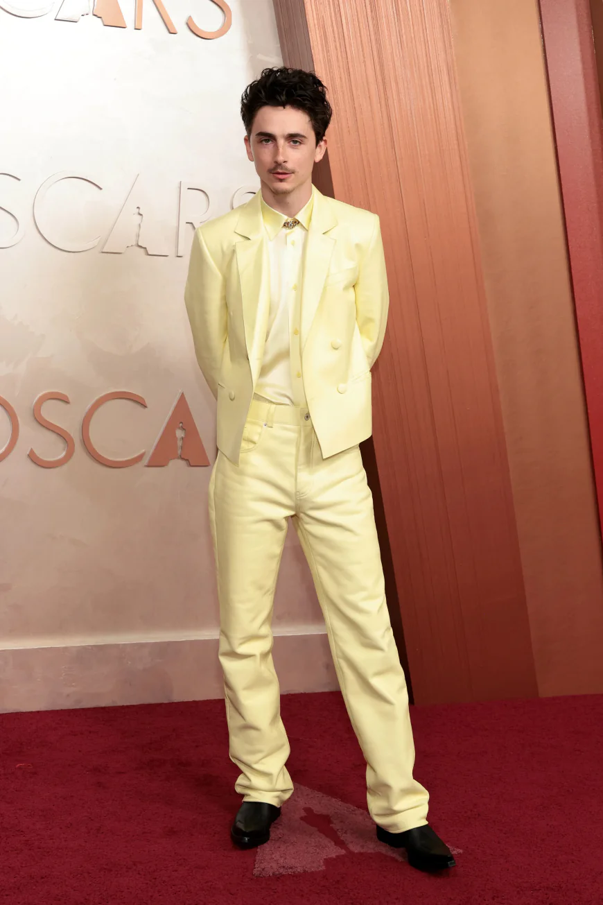 Timothée Chalamet Net Worth, Relationships, Age/Birthdate & Birthday