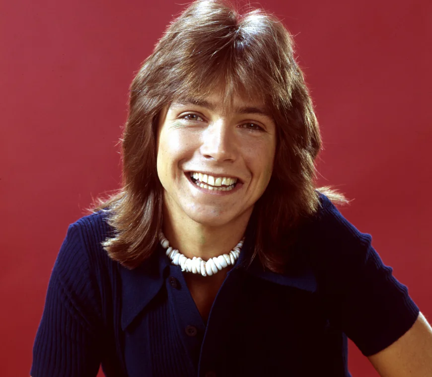 David Cassidy Net Worth, Relationships, Age/Birthdate & Birthday