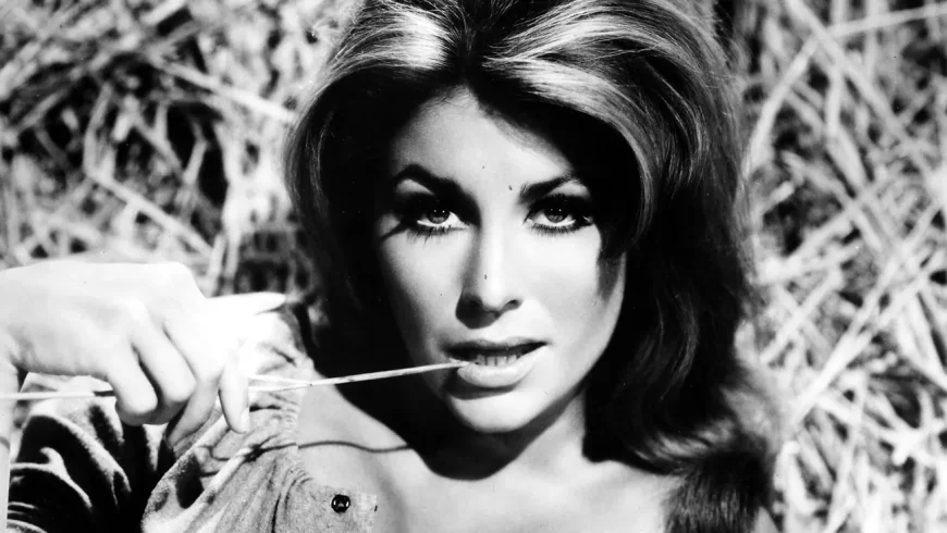 Michele Carey Net Worth, Relationships, Age/Birthdate & Birthday