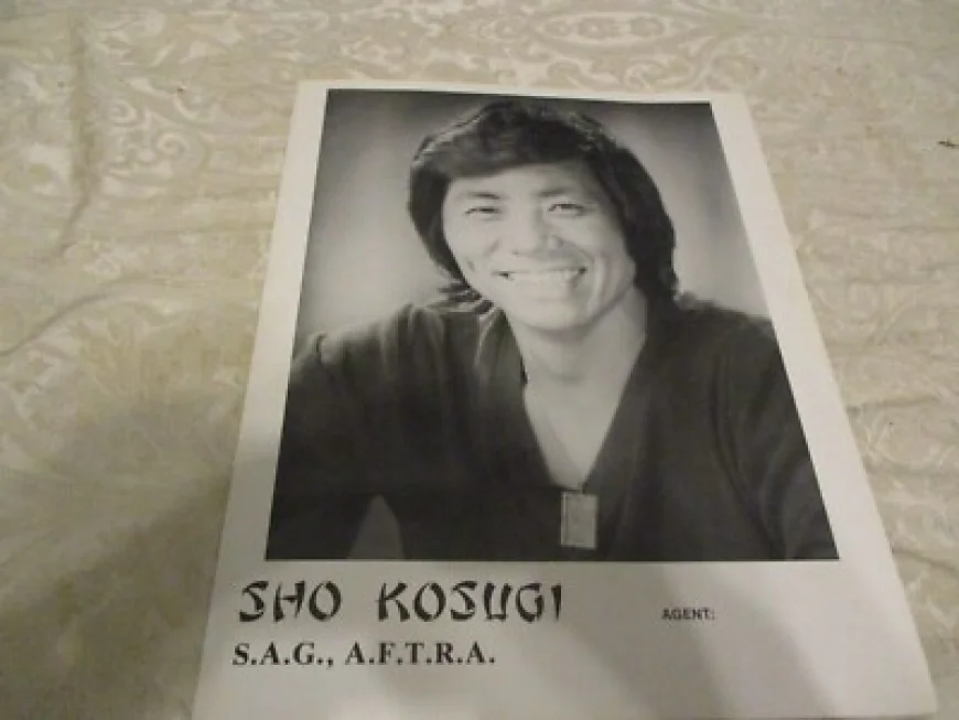 Sho Kosugi Net Worth, Relationships, Age/Birthdate & Birthday Facts