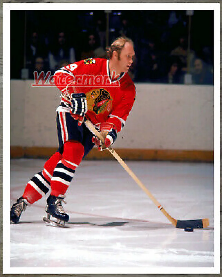 Bobby Hull Net Worth, Relationships, Age/Birthdate & Birthday Facts