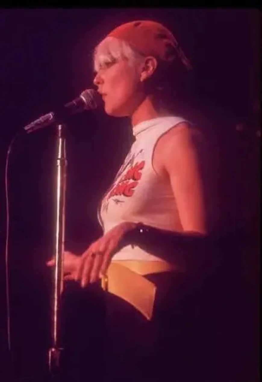 Debbie Harry Net Worth, Relationships, Age/Birthdate & Birthday Facts
