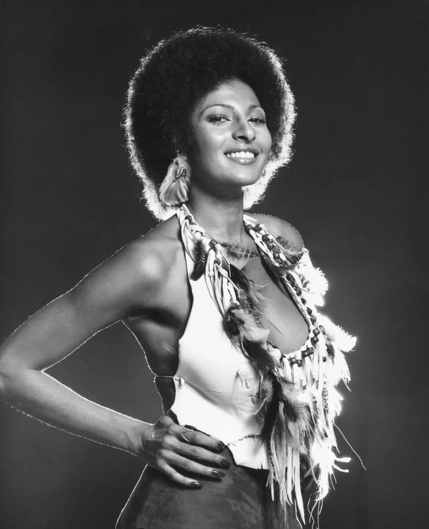 Pam Grier Net Worth, Relationships, Age/Birthdate & Birthday Facts