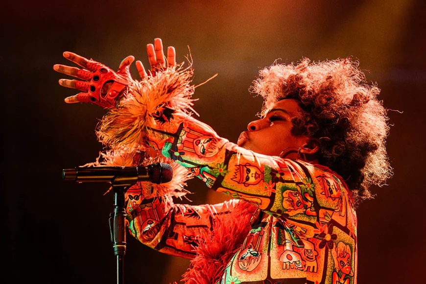 Macy Gray Net Worth, Relationships, Age/Birthdate & Birthday Facts