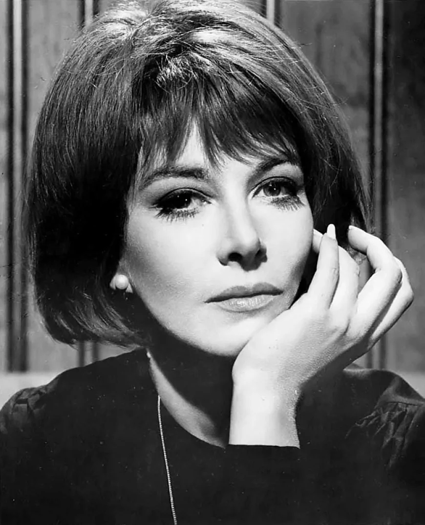 Lee Grant Net Worth, Relationships, Age/Birthdate & Birthday Facts