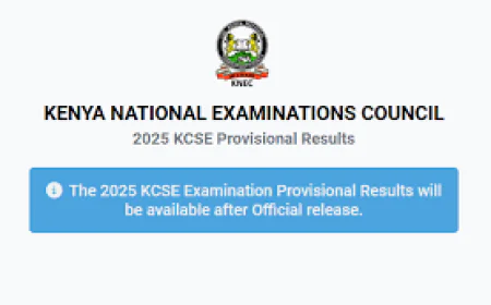 KCSE Results 2025: Official Release, Performance & How to Check